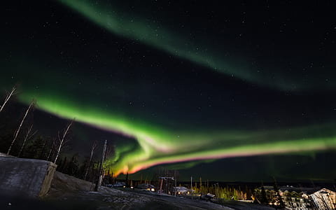Aurora Borealis above withered trees thumbnail