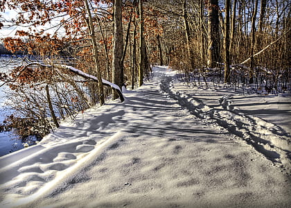 snow covered pathway thumbnail