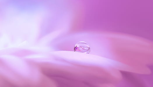 macro photography of water drop thumbnail