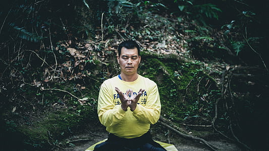 man meditating beside green plant thumbnail