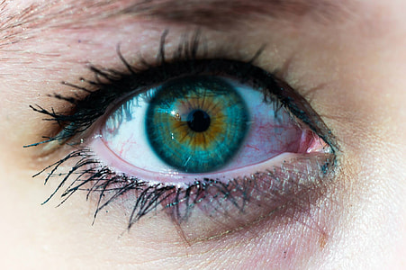 close up photo of left human eye thumbnail