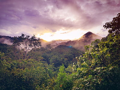 light, dawn, landscape, nature thumbnail