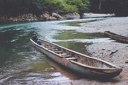gray boat beside river near trees during daytime thumbnail