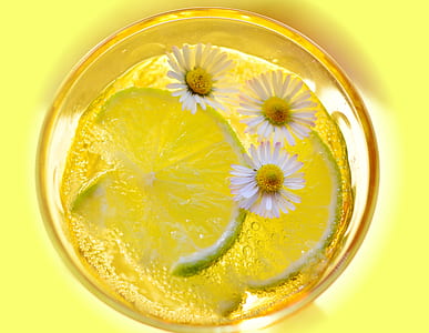 flowers, glass, sweet, lemon thumbnail