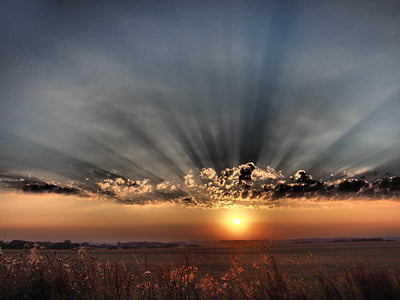 sunset above field of flowers panoramic photography thumbnail