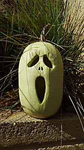 carved ghostface squash decor on gray pavement thumbnail