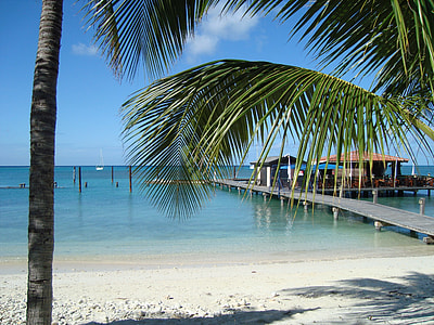 palm trees on bay overlooking wooden dock on with cottages under cloudy sky during daytime thumbnail