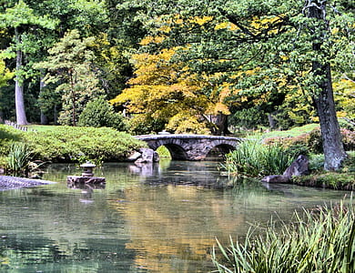 concrete bridge surrounded by tall green trees at daytime thumbnail