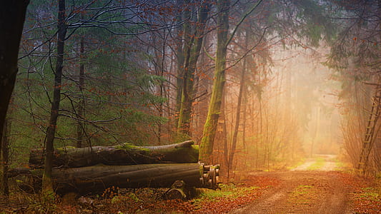 winding pathway painting thumbnail