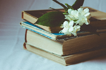 selective focus photography of Stephanotis on brown hardbound book thumbnail