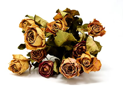 bouquet of roses thumbnail