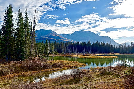 wood, landscape, nature, sky thumbnail