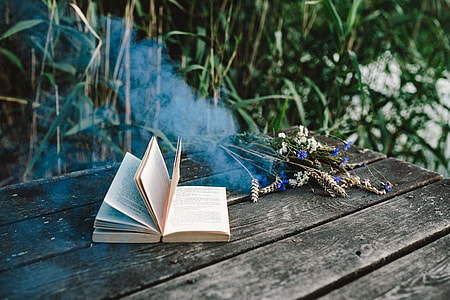 Colorful smoke bomb, book and vintage camera thumbnail