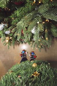 green pine tree decor closeup photo thumbnail