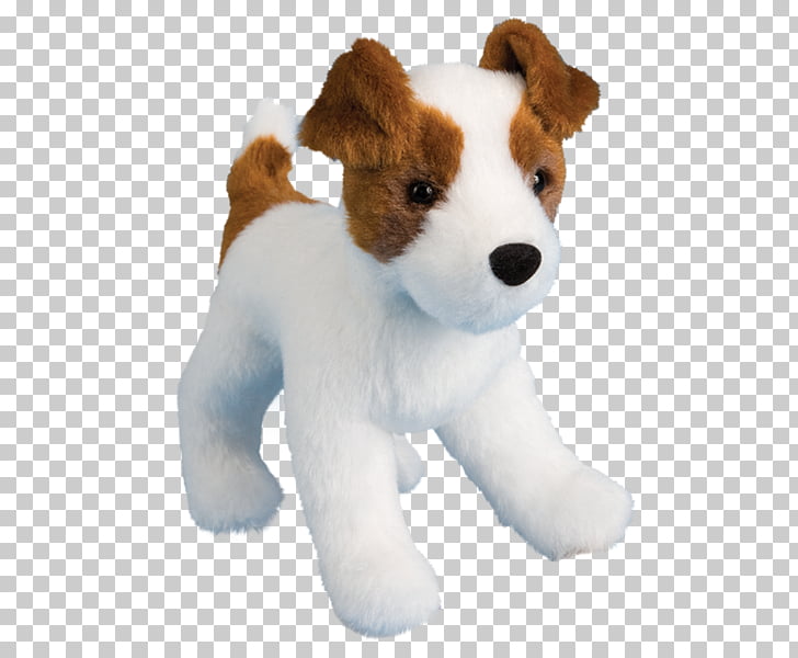 Jack Russell Terrier Miniature Fox Terrier Toy Fox Terrier Wire