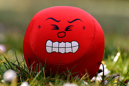 red and white angry printed plush toy on green grass photography thumbnail