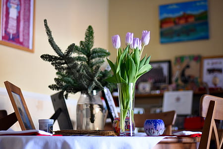 purple flowers in clear glass vase thumbnail
