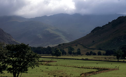 mountain with trees and grass during daytime thumbnail
