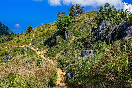 Green Grass Filled Hill Under Blue Sky thumbnail