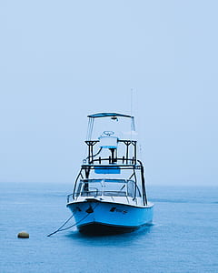 white deck boat docked on body of water thumbnail