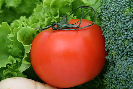 orange tomato near lettuce thumbnail