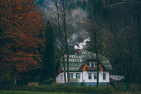 white and brown house surrounded by trees thumbnail