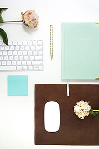 pink and white withered rose flowers and Apple Magic Keyboard thumbnail
