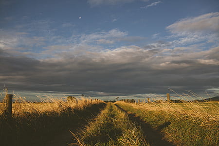 path, field, cloud, country thumbnail