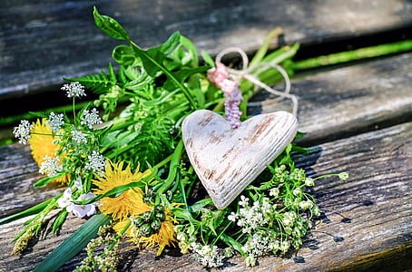 depth of field photography of yellow and white flowers on brown wooden surface thumbnail