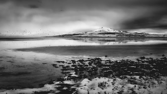 iceland, snow, sea, landscape thumbnail