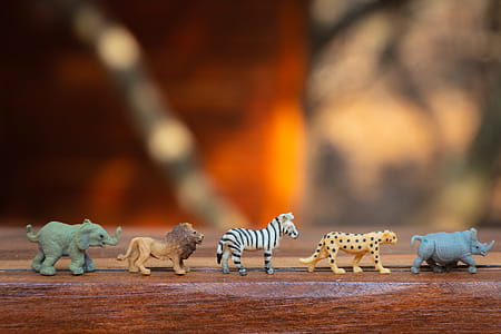 Plastic Animal Toys on Wooden Surface thumbnail