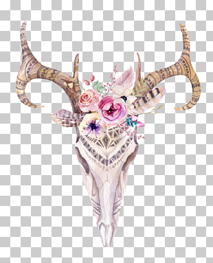 Deer Antler Bohemianism Skull Boho Chic Hand Painted Deer White