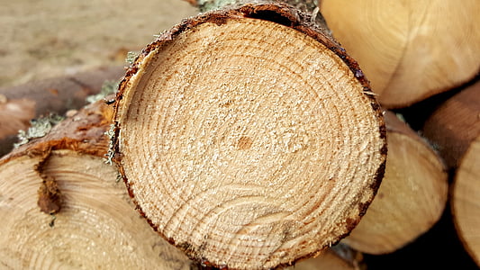 closeup photography of logs thumbnail