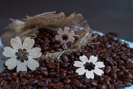 brown coffee beans on sack thumbnail