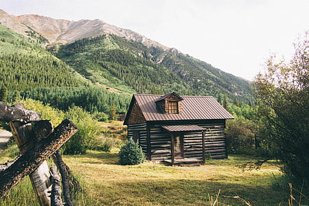 brown wooden log house thumbnail
