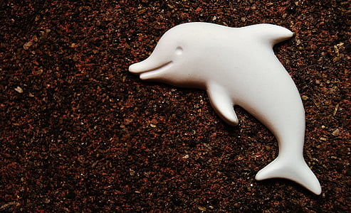 white dolphin figurine on brown sand thumbnail