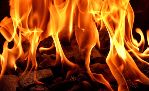 closeup photography of fire digital wallpaper thumbnail