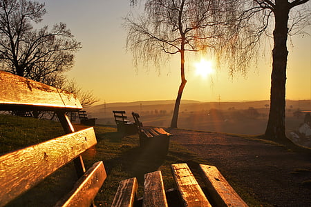 brown wooden benches near trees during sunset thumbnail