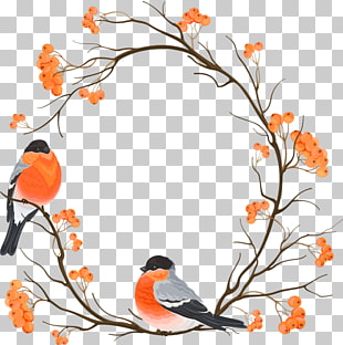 Eurasian bullfinch Drawing Embroidery , Chinese wind round border branch Bird, two birds sitting on tree branch PNG clipart
