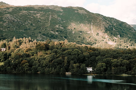 house near forest and body of water during daytime thumbnail