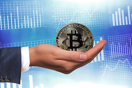 person holding bitcoin phot thumbnail