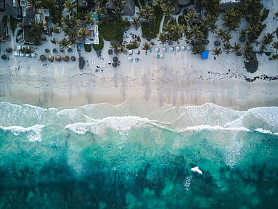 aerial photography of green beach thumbnail