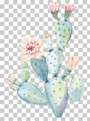 Cactaceae Watercolor painting Saguaro, Hand painted watercolor cactus, green cactus illustrarion PNG clipart