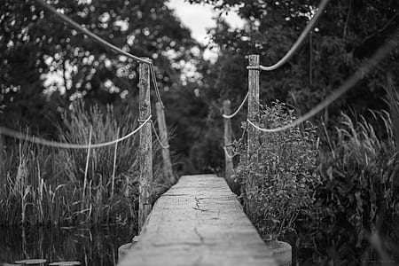 greyscale photography of a wooden bridge thumbnail