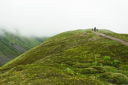 mountain covered with fogs thumbnail