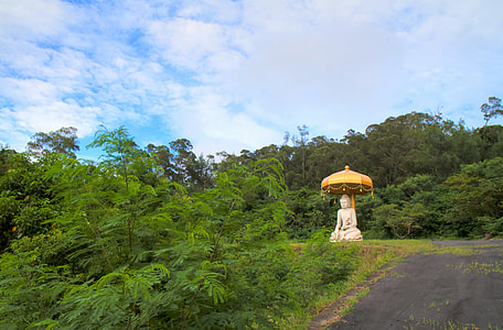 Buddha Statues, Buddhism thumbnail