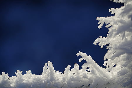 shallow focus photography of white snow thumbnail