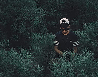 man in adidas shirt between bush thumbnail
