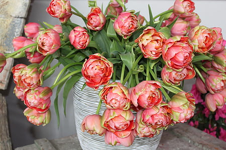 closeup photo of pink and red petaled flower in gray vase thumbnail