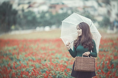 woman with white umbrella on red flower field thumbnail